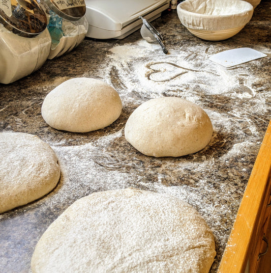 Personal Sourdough Tutor