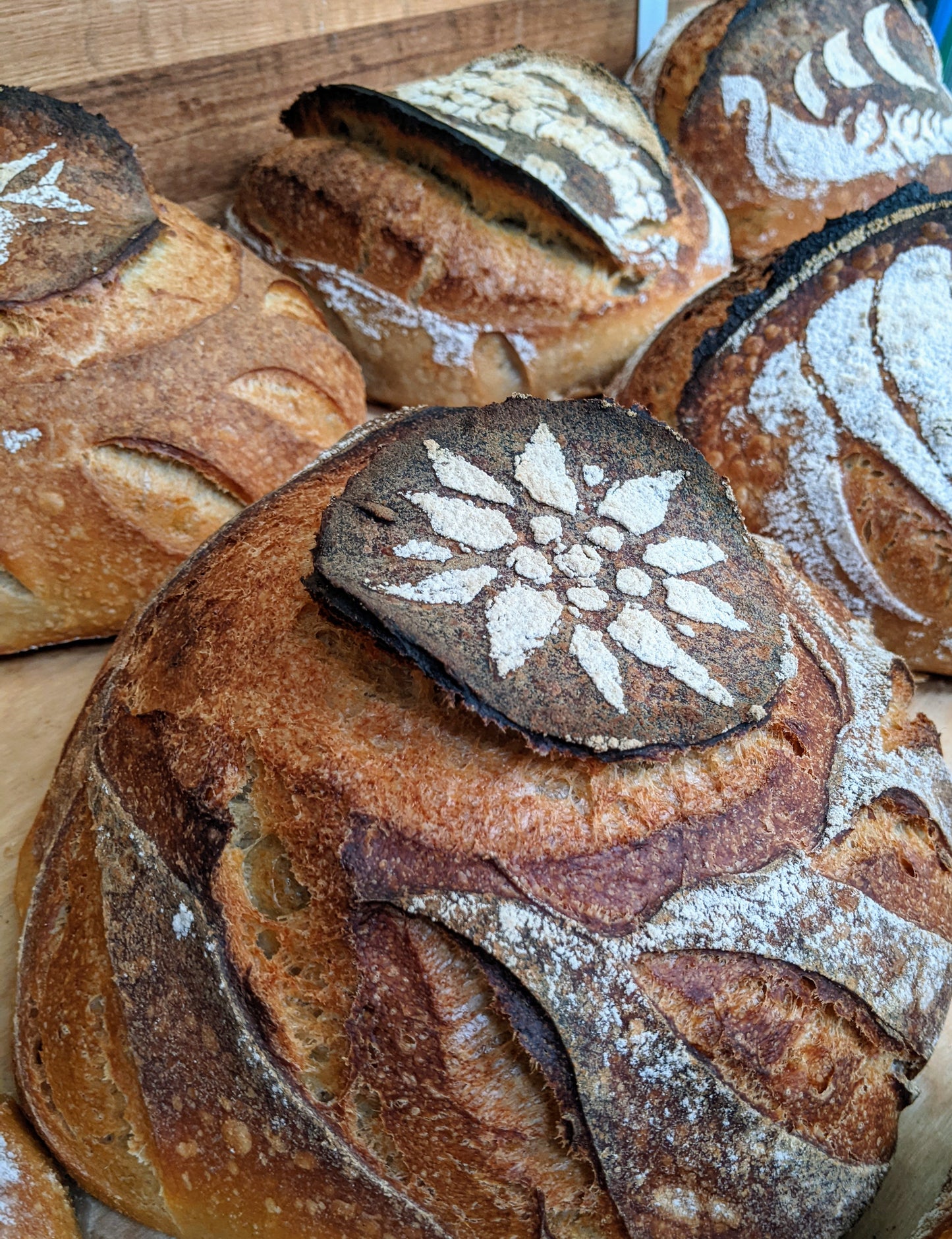 Bread- Sourdough Boule