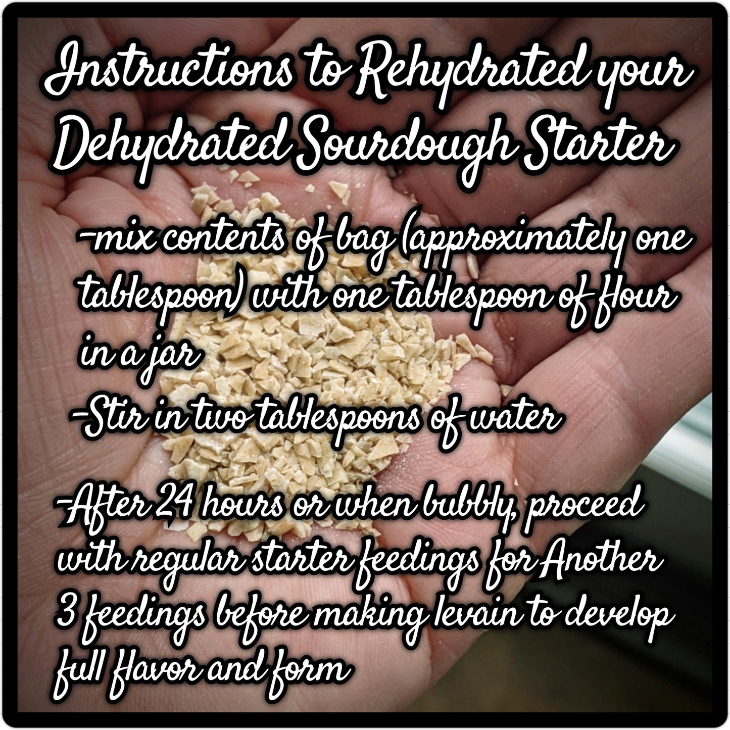 Dehydrated Sourdough Starter