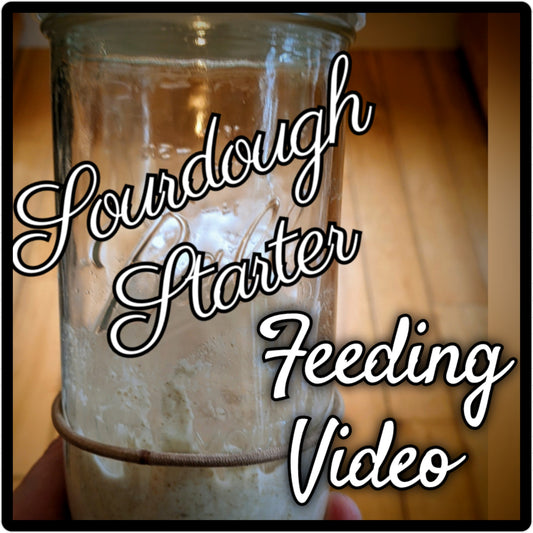 Starter Feeding Video