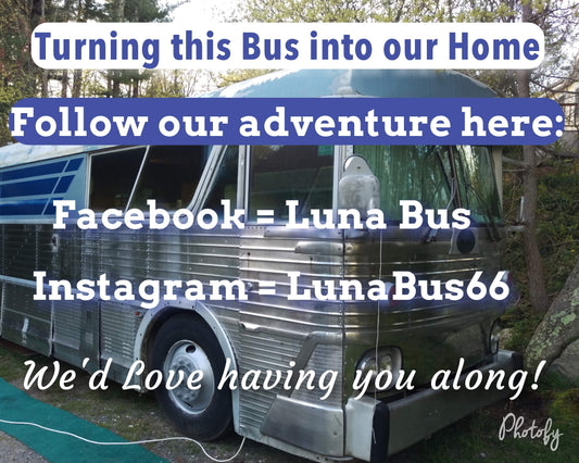 What is Luna Bus?