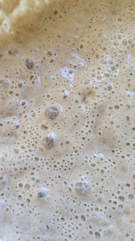 Sourdough Starter 100g