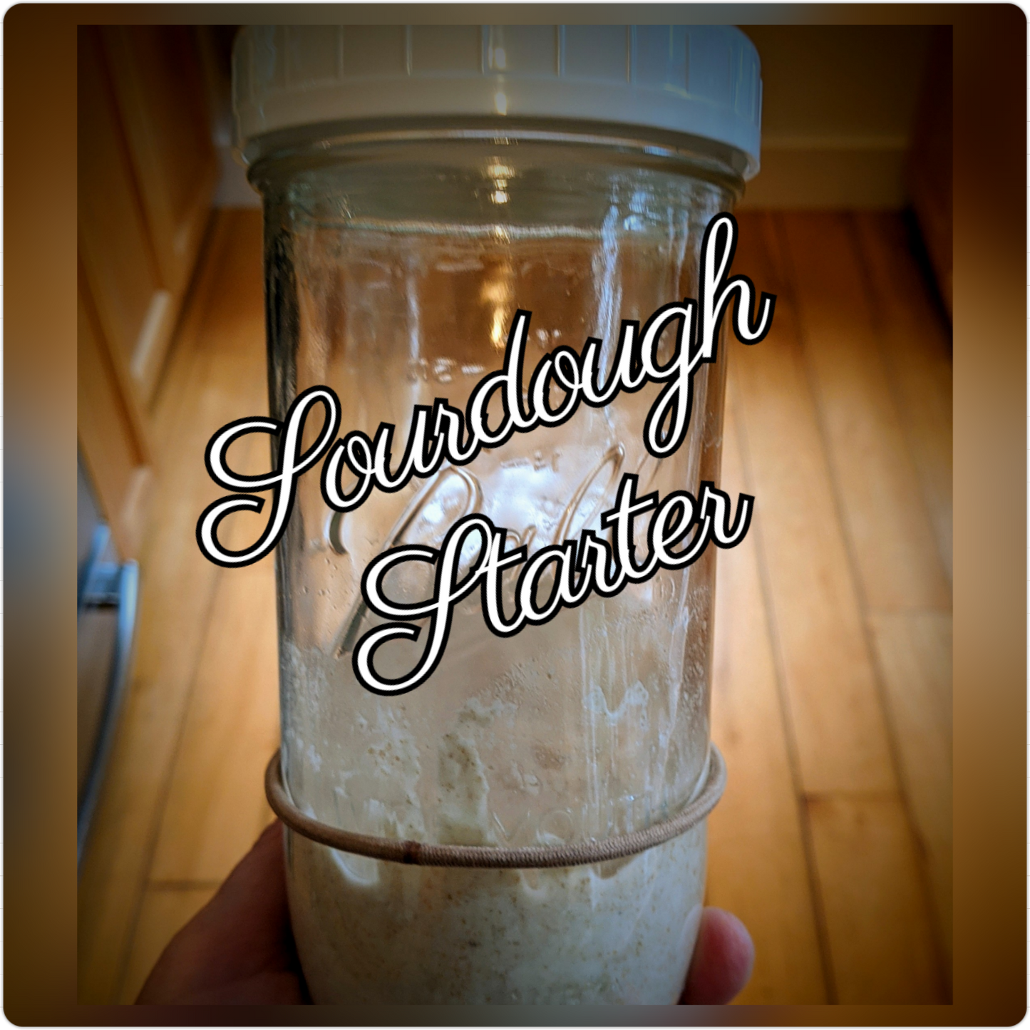 Sourdough Starter